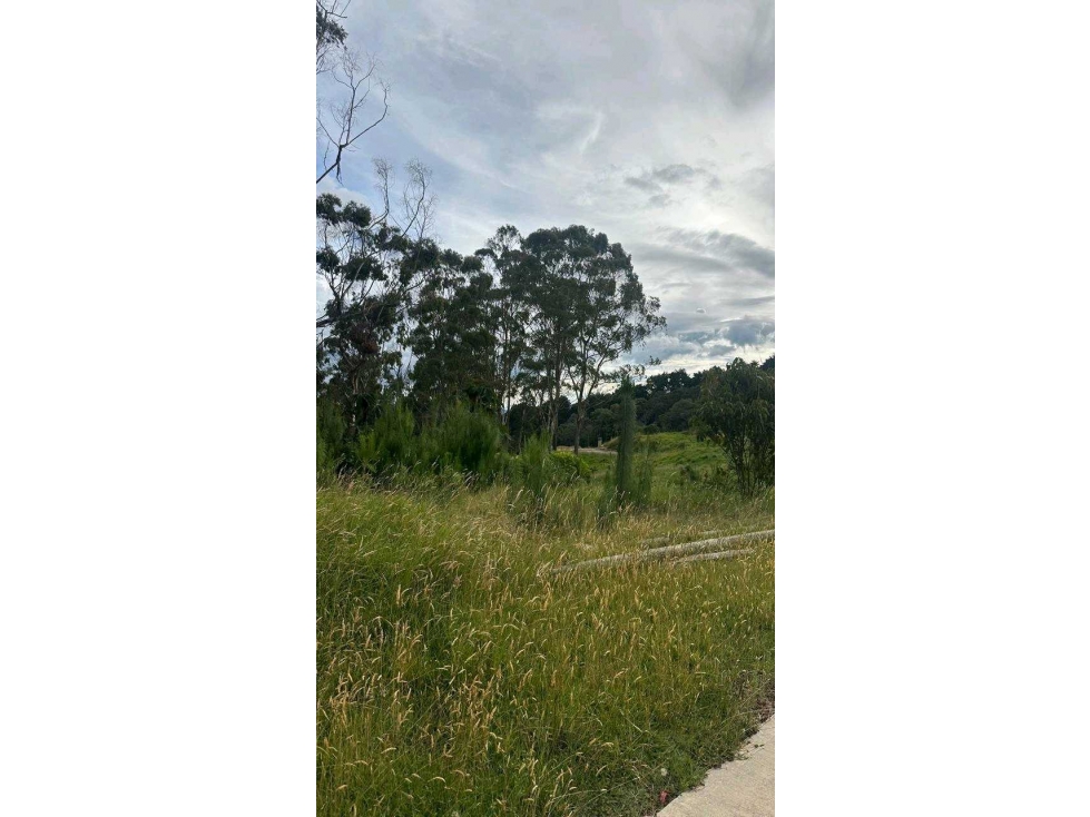 Venta lote Alto de Palmas Parcelacion — foto 4