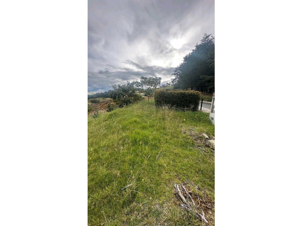 Venta lote Alto de Palmas Parcelacion — foto 3