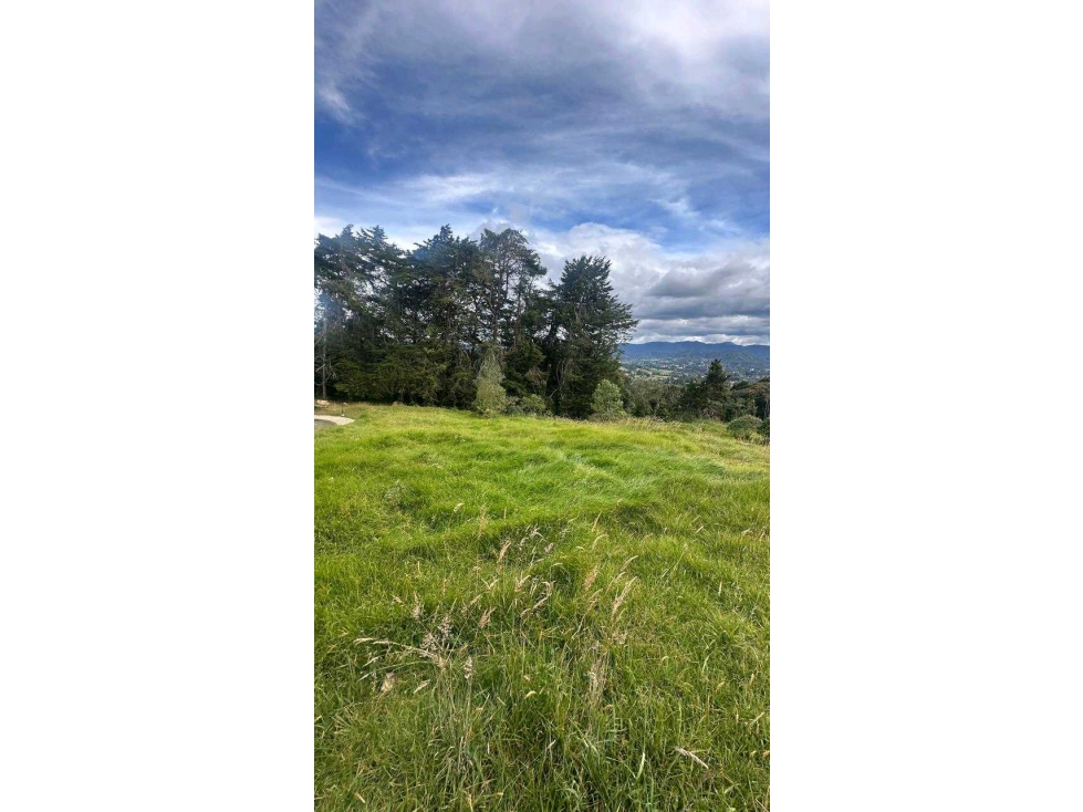 Venta lote Alto de Palmas Parcelacion — foto 4