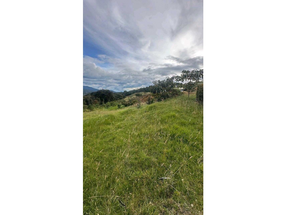 Venta lote Alto de Palmas Parcelacion — foto 6