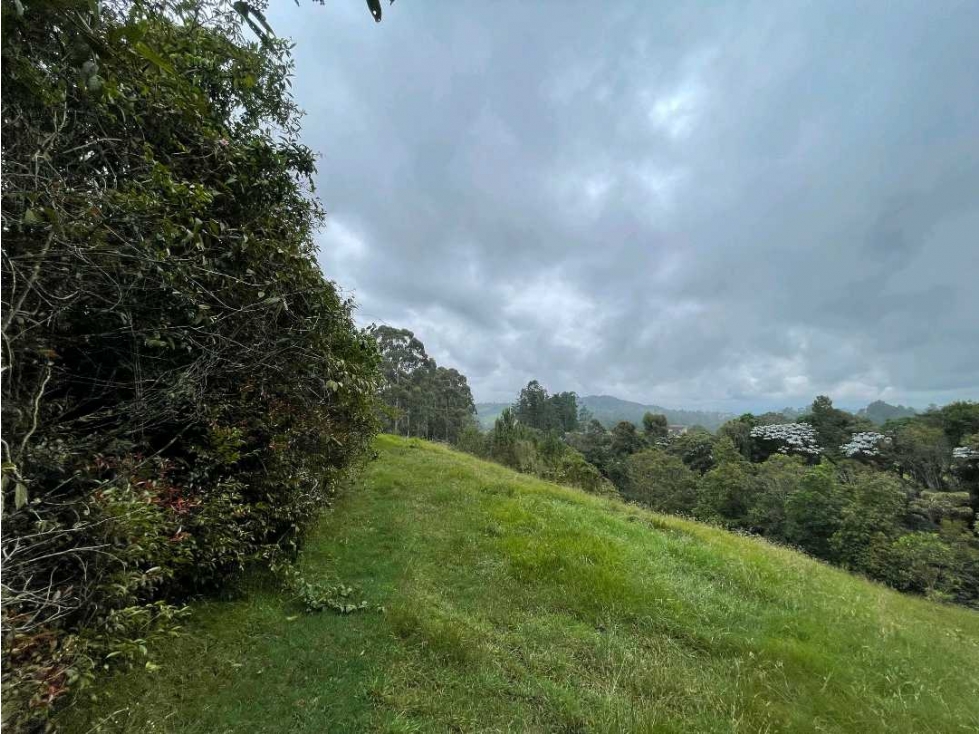 Venta lote Alto de Palmas Unidad Cerrada — foto 2