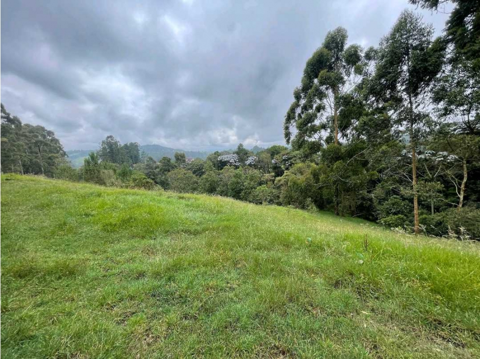 Venta lote Alto de Palmas Unidad Cerrada — foto 3