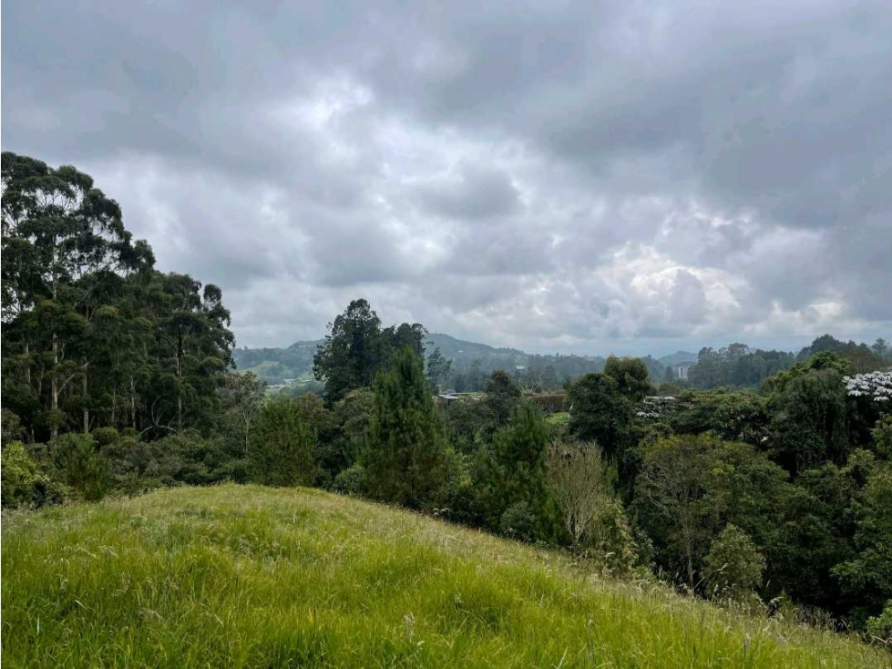 Venta lote Alto de Palmas Unidad Cerrada — foto 5