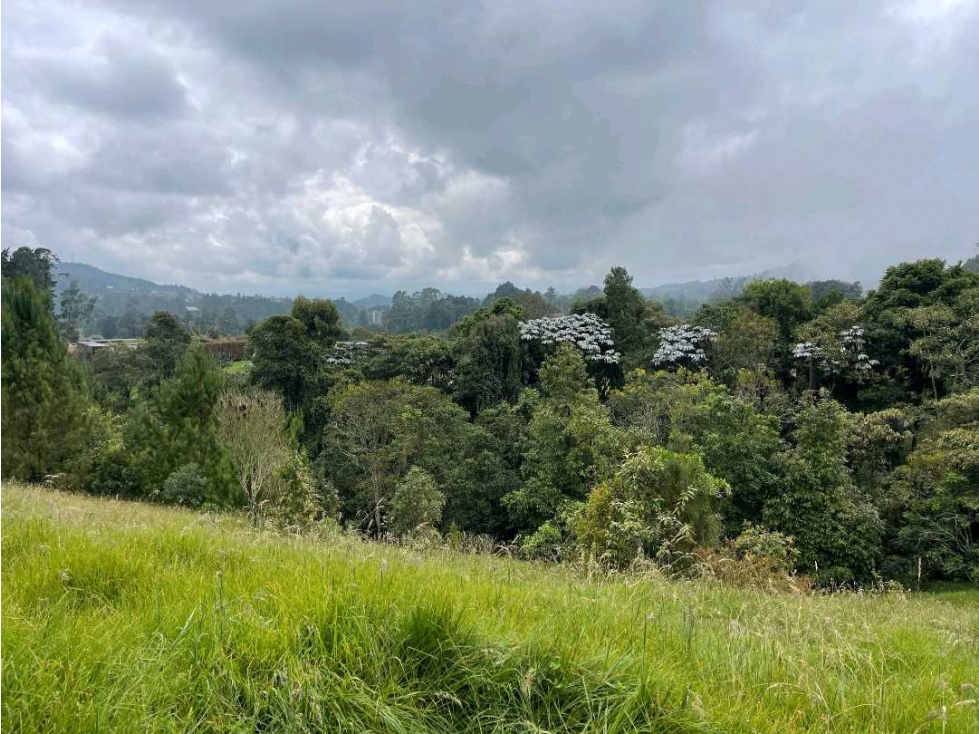 Venta lote Alto de Palmas Unidad Cerrada — foto 6