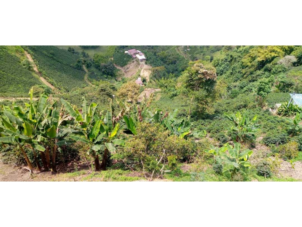 Venta Lote Alto Del Naranjo
