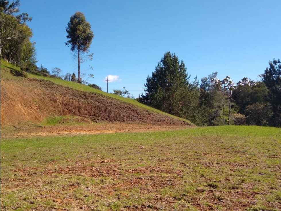 Venta lote alto palmas colegio Vermont