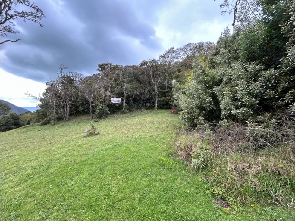 Venta Lote Altos de Potosi - 3