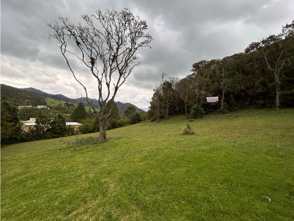 Venta Lote Altos de Potosi - 4