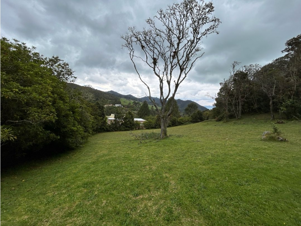 Venta Lote Altos de Potosi - 5