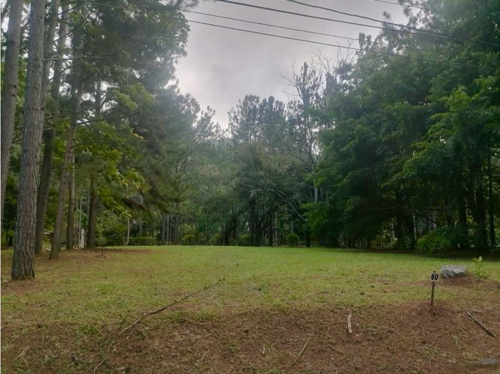 VENTA DE LOTE ALTOS DEL MARIA LAUREL COMPLETAMENTE PLANO 1604M2 JJ - 1