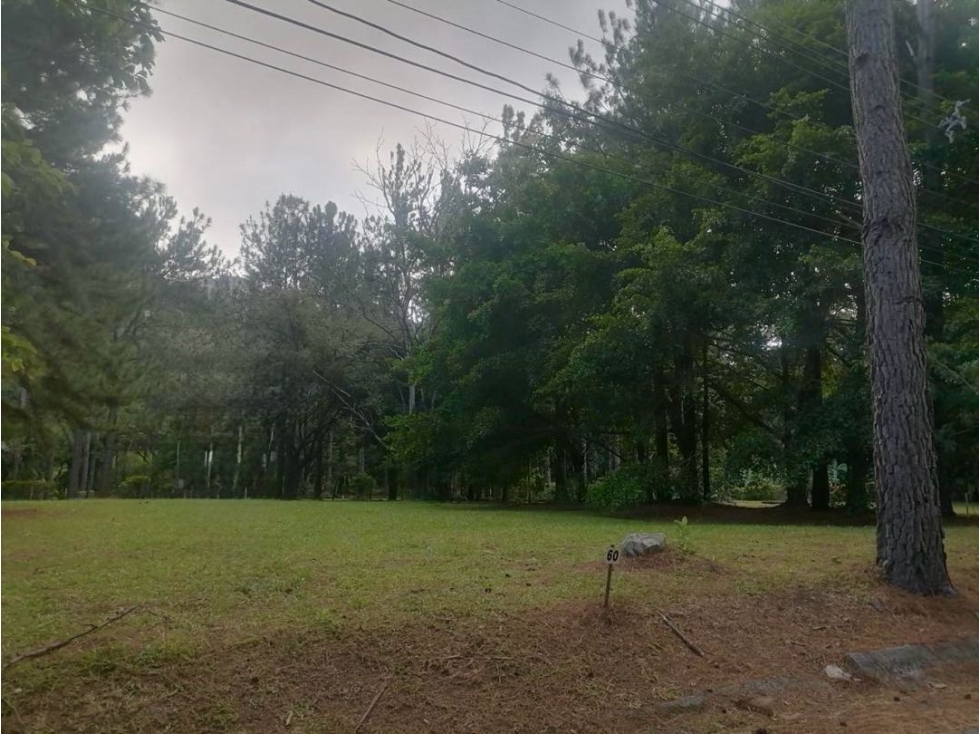 VENTA DE LOTE ALTOS DEL MARIA LAUREL COMPLETAMENTE PLANO 1604M2 JJ - 2