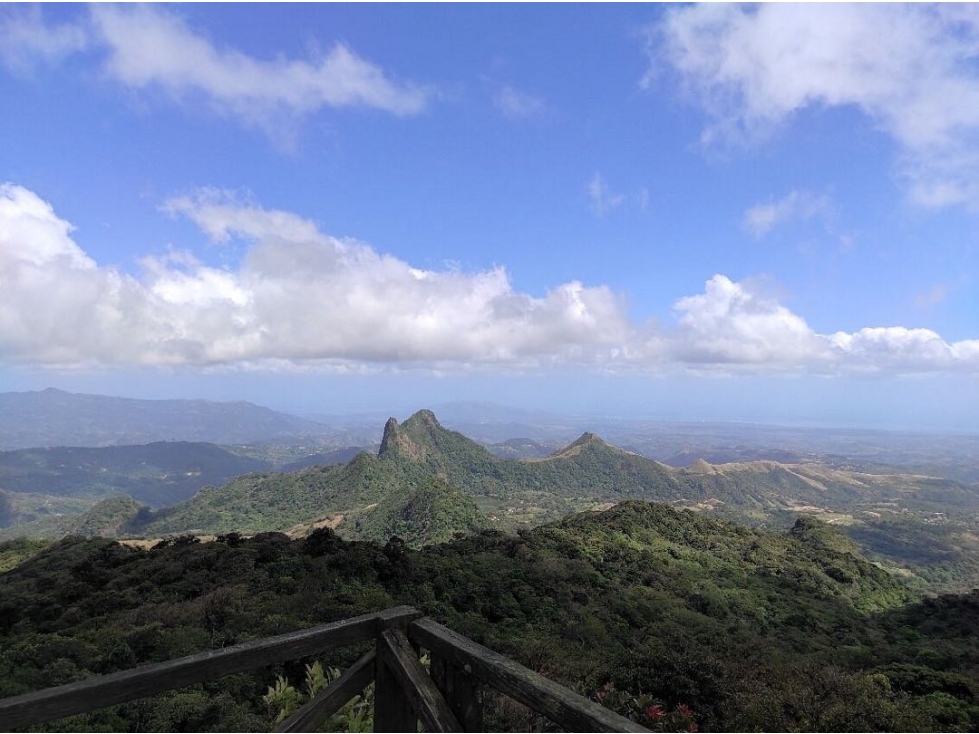 VENTA DE LOTE ALTOS DEL MARIA LAUREL COMPLETAMENTE PLANO 1604M2 JJ - 3