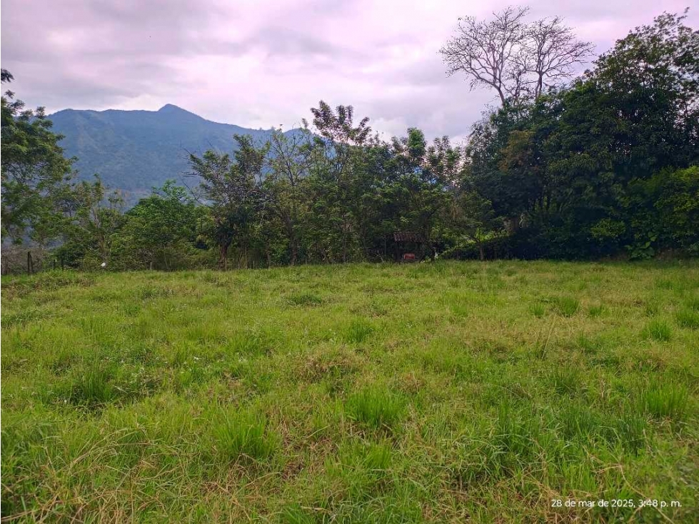VENTA LOTE AMAGA SUROESTE ANTIOQUEÑO - 3