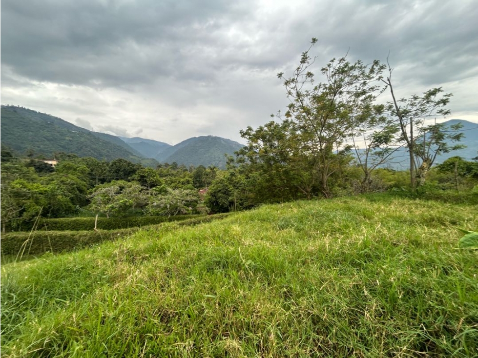 VENTA LOTE AMAGA SUROESTE ANTIOQUEÑO - 5