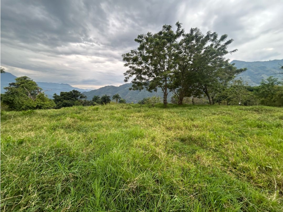VENTA LOTE AMAGA SUROESTE ANTIOQUEÑO - 6