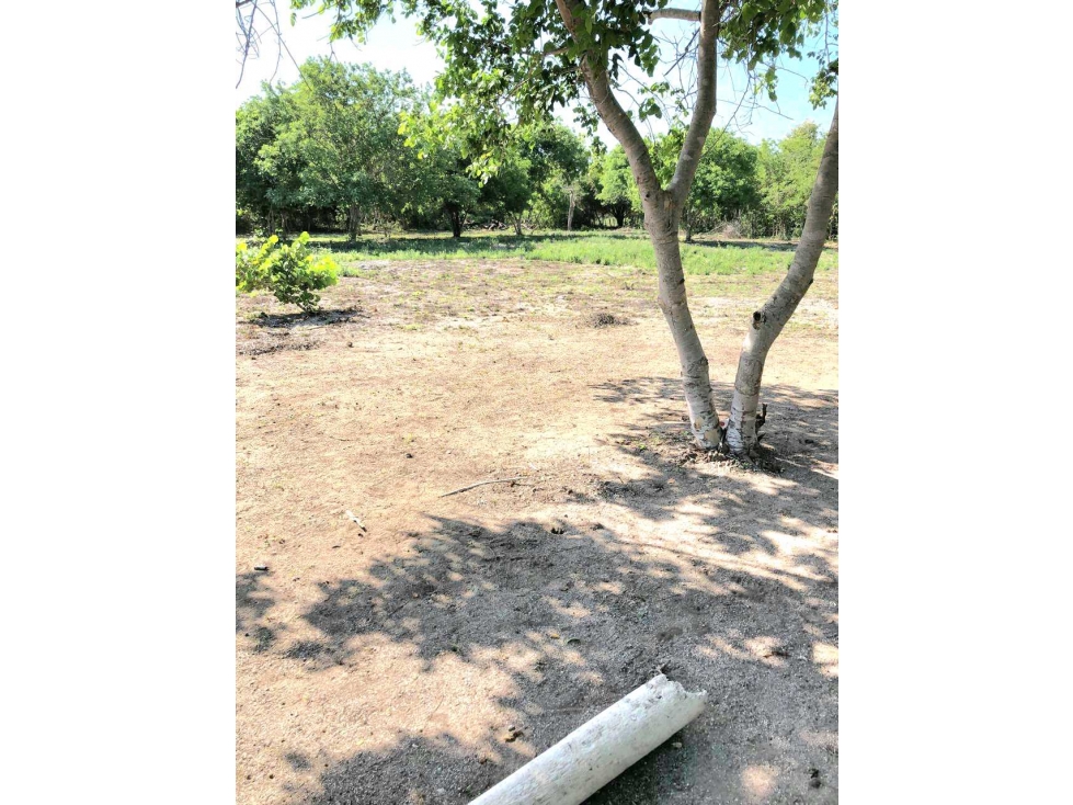 VENTA LOTE BARU CARTAGENA — foto 5
