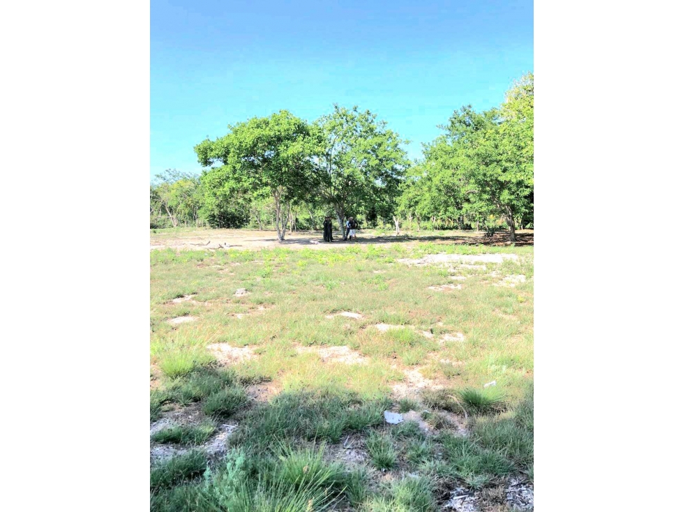 VENTA LOTE BARU CARTAGENA — foto 6