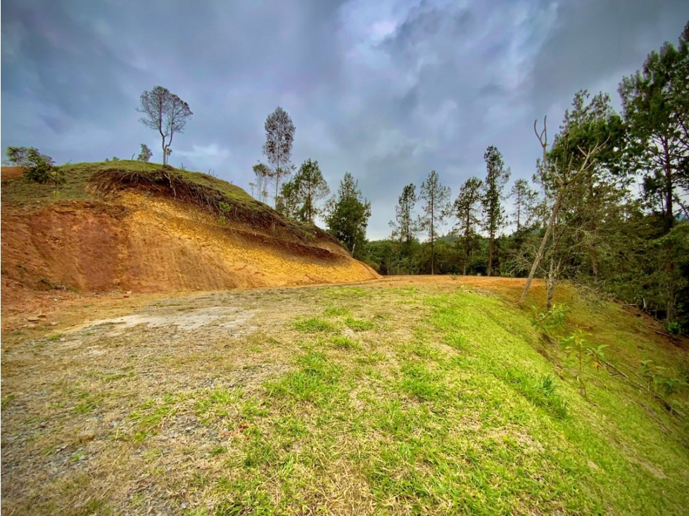 Venta Lote Pesebreras vista Bosque Quebrada Parcelacion Alto Palmas — foto 3