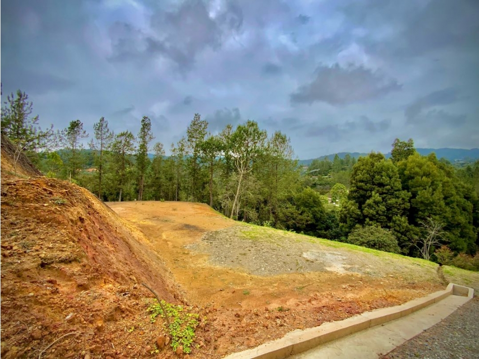 Venta Lote Pesebreras vista Bosque Quebrada Parcelacion Alto Palmas — foto 4
