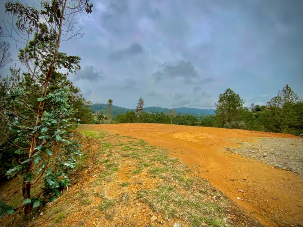 Venta Lote Pesebreras vista Bosque Quebrada Parcelacion Alto Palmas