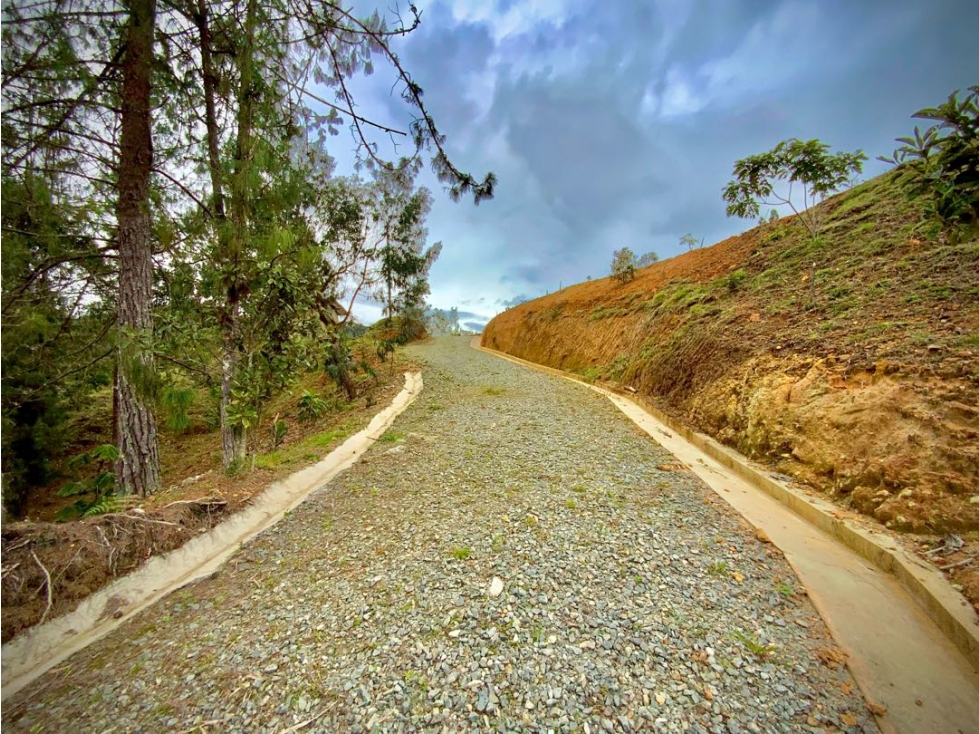 Venta Lote Pesebreras vista Bosque Quebrada Parcelacion Alto Palmas — foto 5