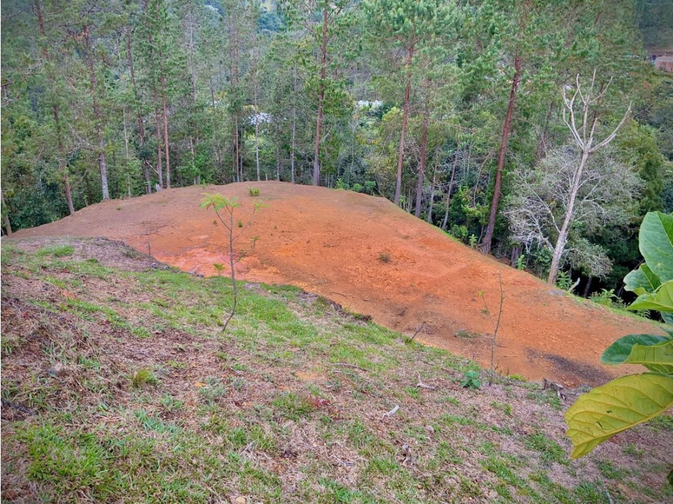 Venta Lote Pesebreras vista Bosque Quebrada Parcelacion Alto Palmas — foto 6