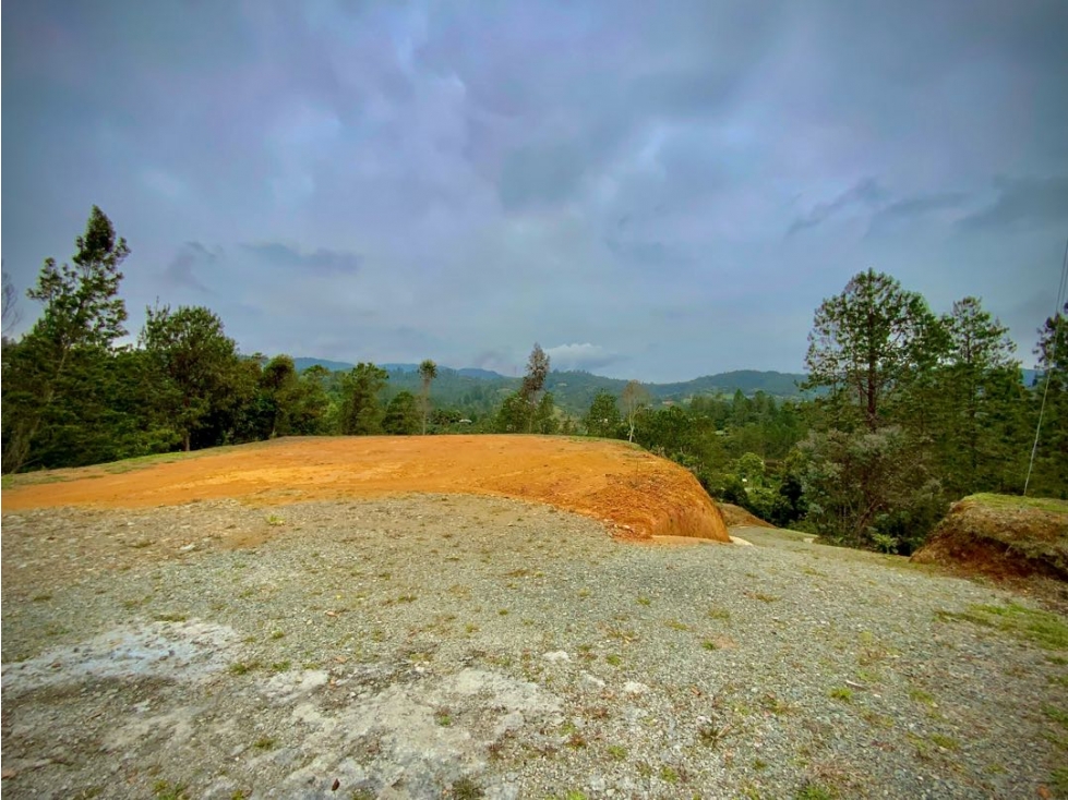 Venta Lote Pesebreras vista Bosque Quebrada Parcelacion Alto Palmas — foto 2