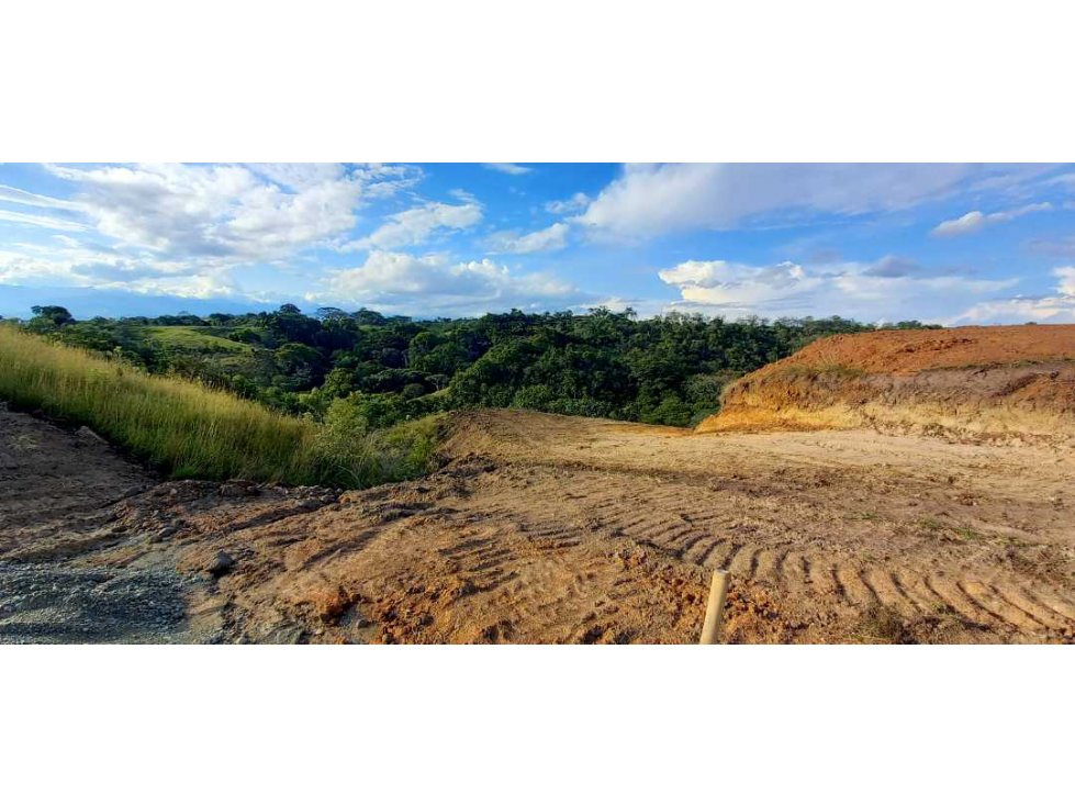 Venta lote Campestre Cerritos la Virginia — foto 2