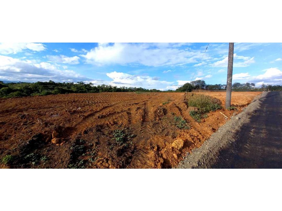 Venta lote Campestre Cerritos la Virginia — foto 3