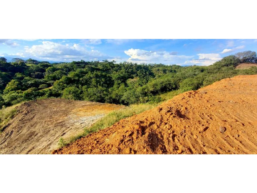 Venta lote Campestre Cerritos la Virginia — foto 4