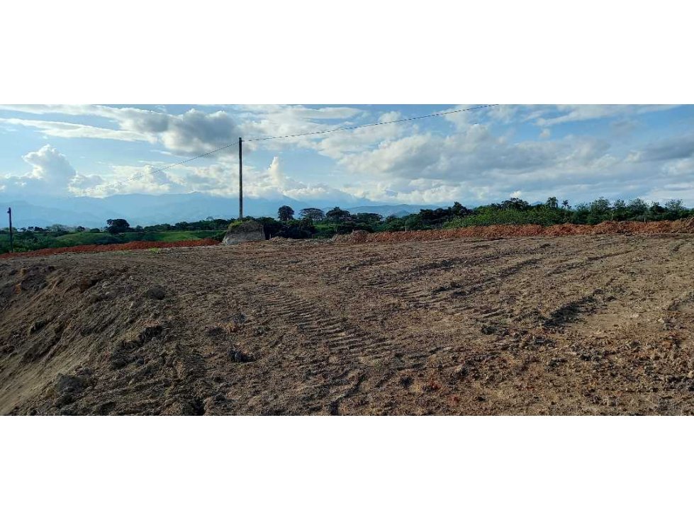 Venta lote Campestre Cerritos la Virginia - 4