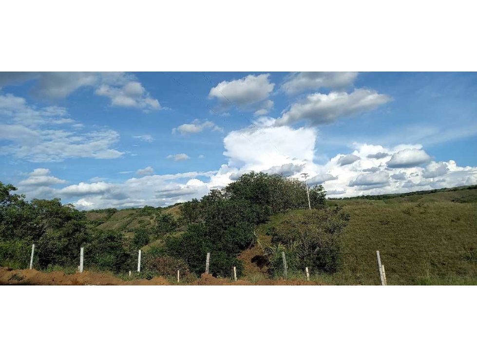 Venta lote Campestre Cerritos la Virginia — foto 5