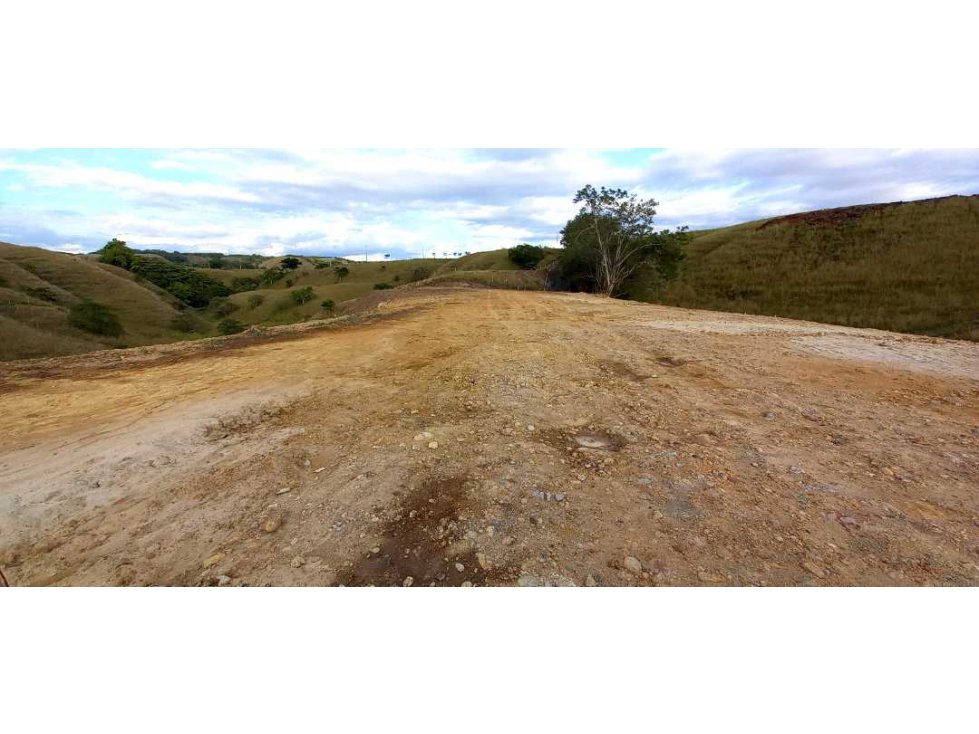 Venta lote Campestre Cerritos la Virginia