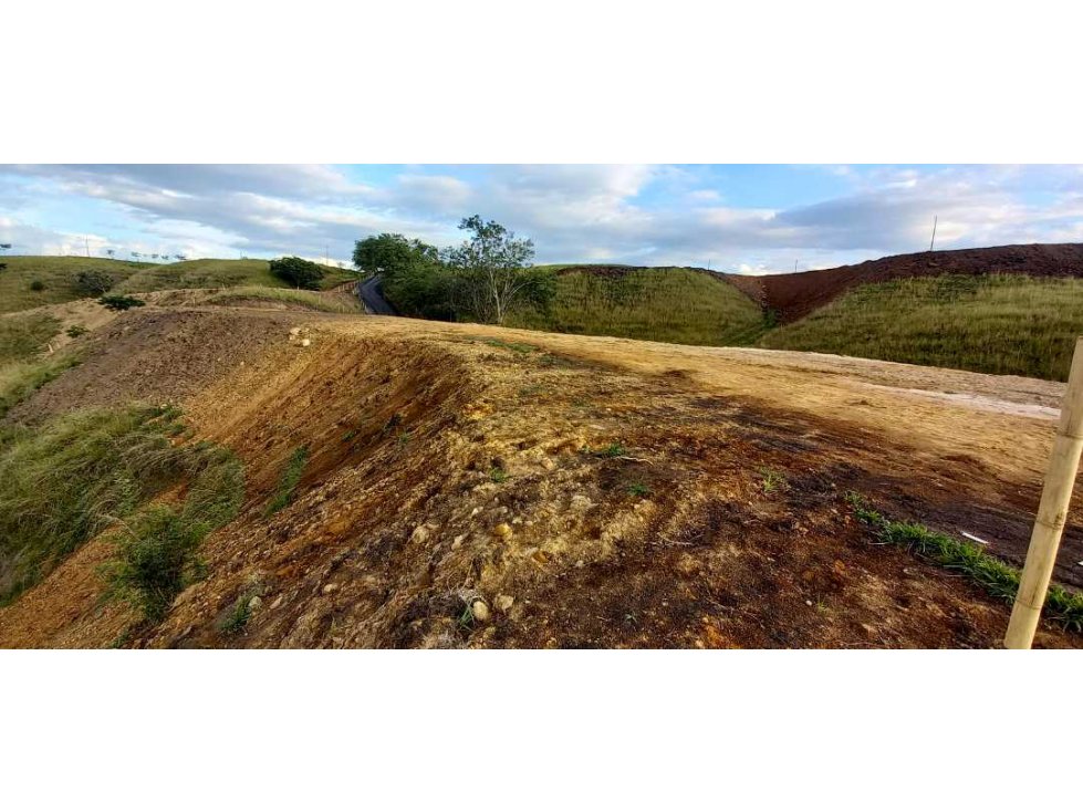 Venta lote Campestre Cerritos la Virginia — foto 3