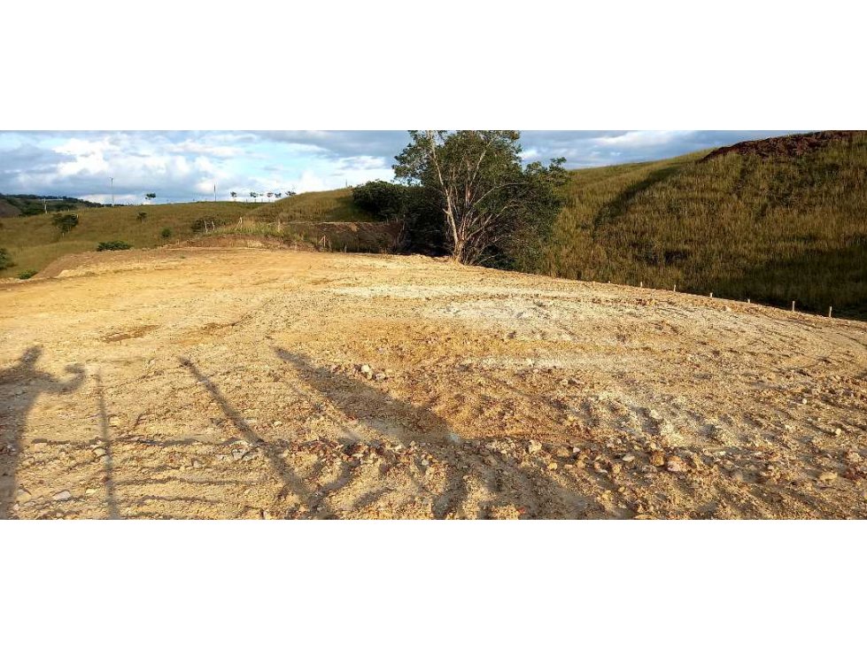 Venta lote Campestre Cerritos la Virginia — foto 4