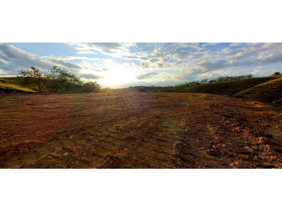 Venta lote Campestre Cerritos la Virginia