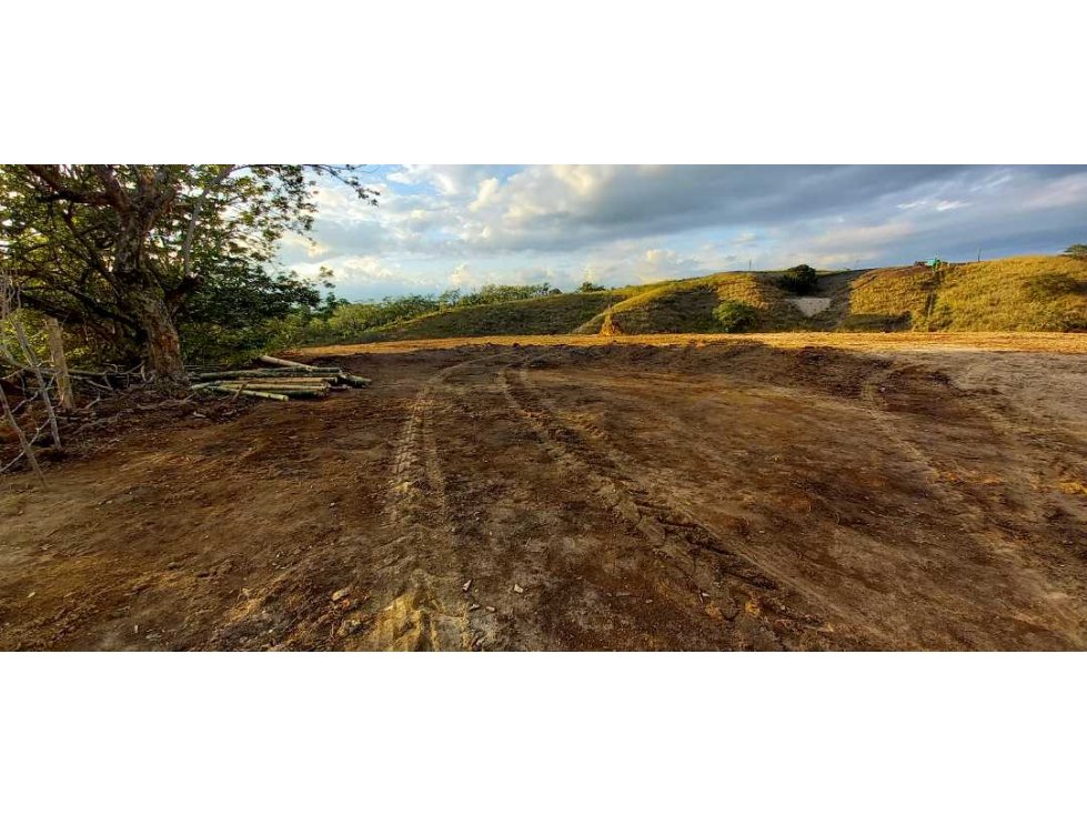 Venta lote Campestre Cerritos la Virginia - 2