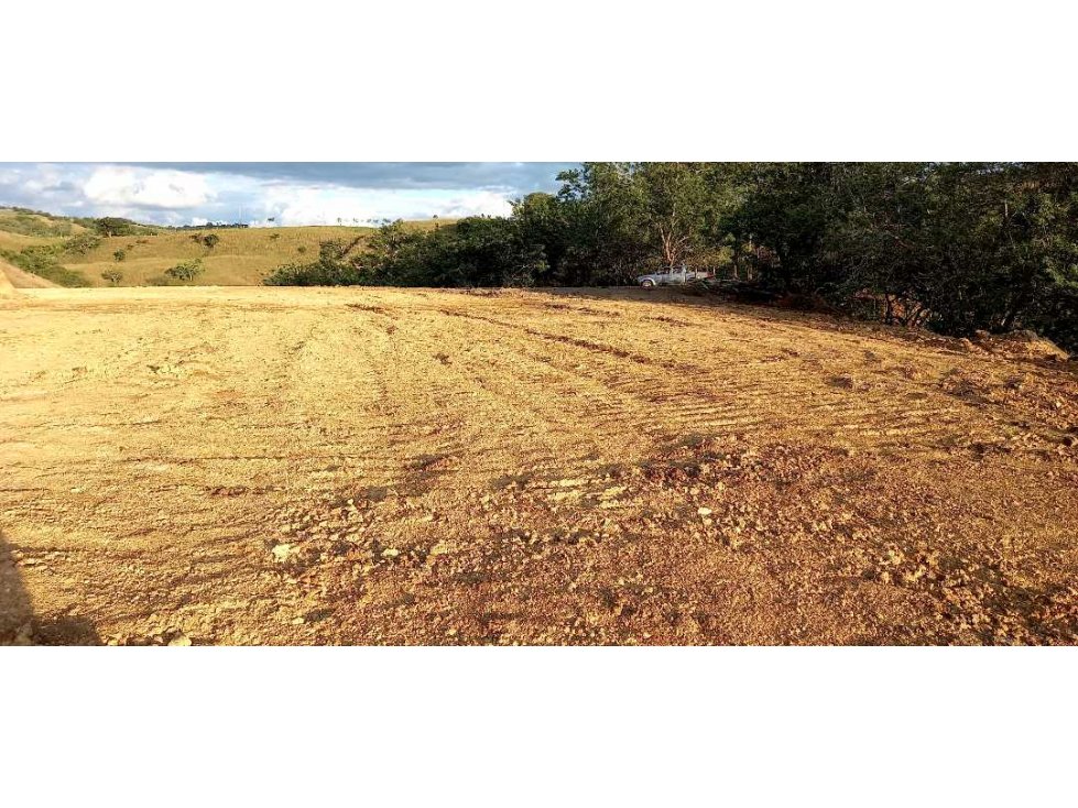 Venta lote Campestre Cerritos la Virginia - 5