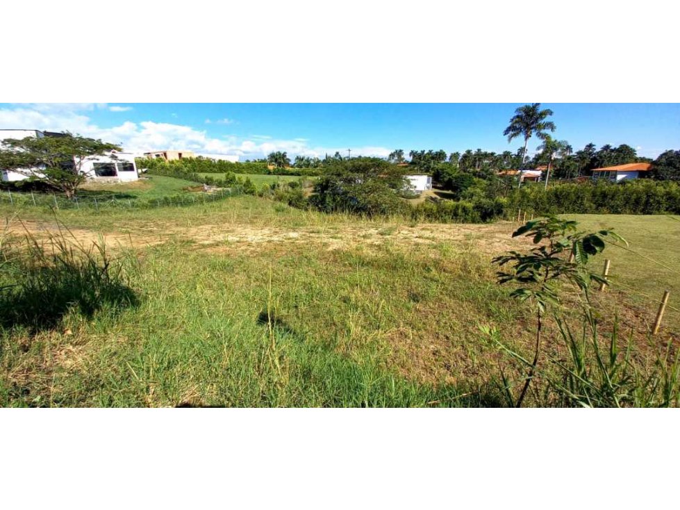 Venta Lote Campestre Cerritos Pereira - 3