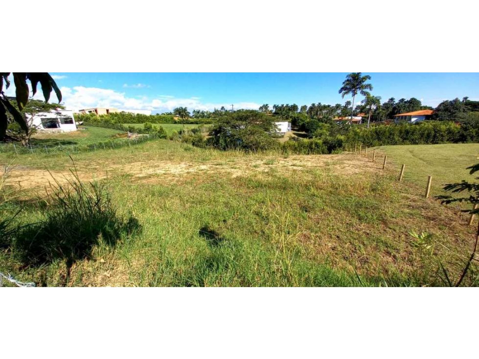 Venta Lote Campestre Cerritos Pereira - 5