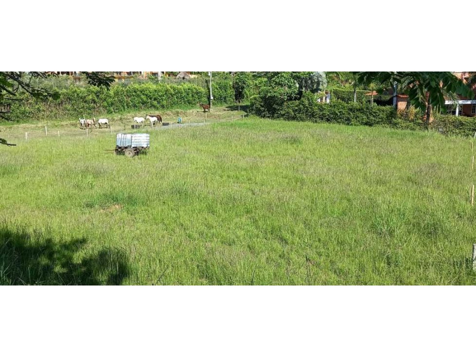Venta lote Campestre Cerritos Pereira — foto 3