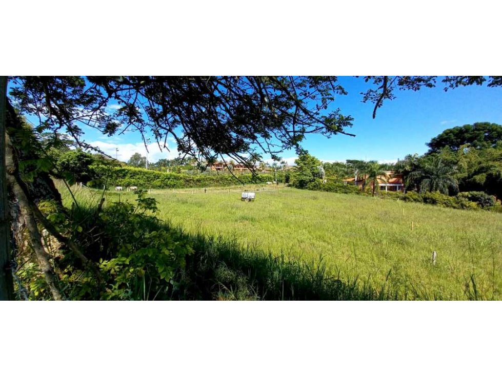 Venta lote Campestre Cerritos Pereira — foto 5