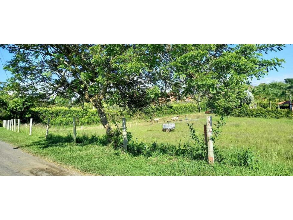 Venta lote Campestre Cerritos Pereira — foto 6
