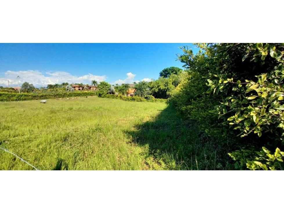 Venta lote Campestre Cerritos Pereira - 4