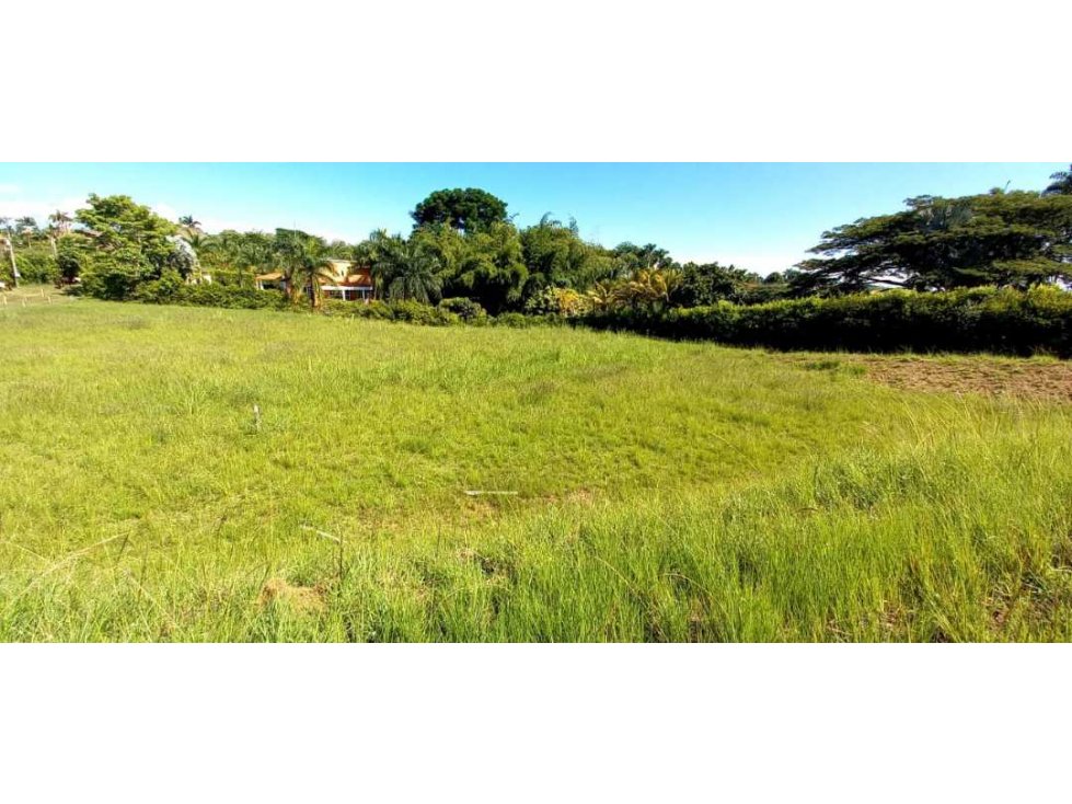 Venta lote Campestre Cerritos Pereira - 5