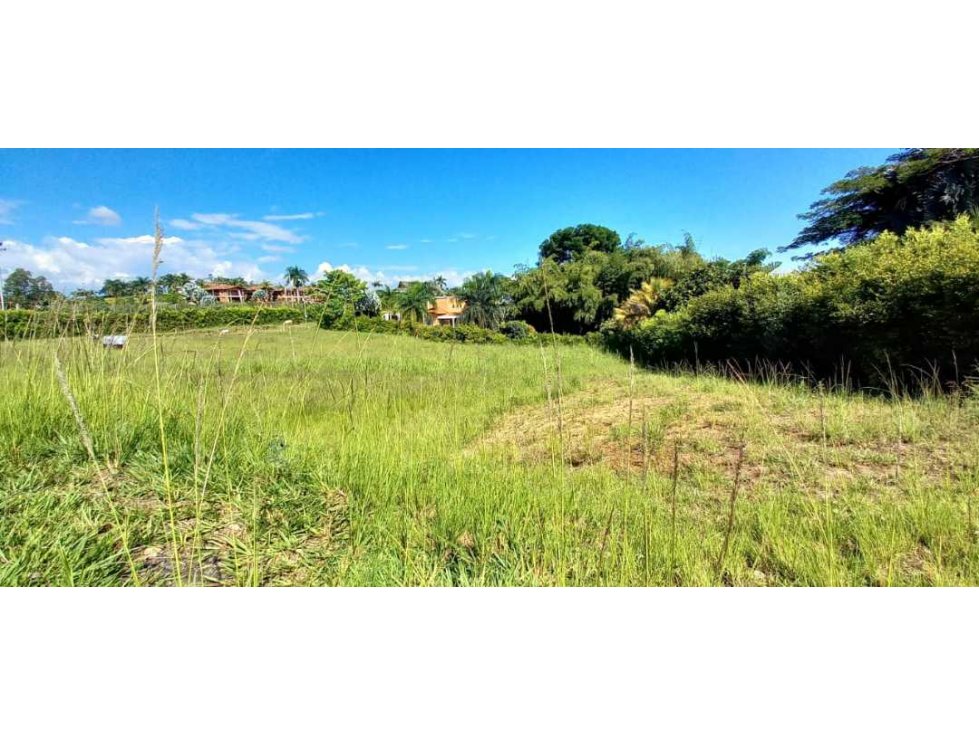 Venta lote Campestre Cerritos Pereira - 6