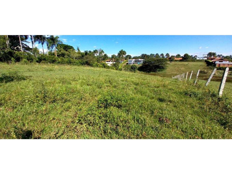 Venta lote Campestre Cerritos Pereira - 2