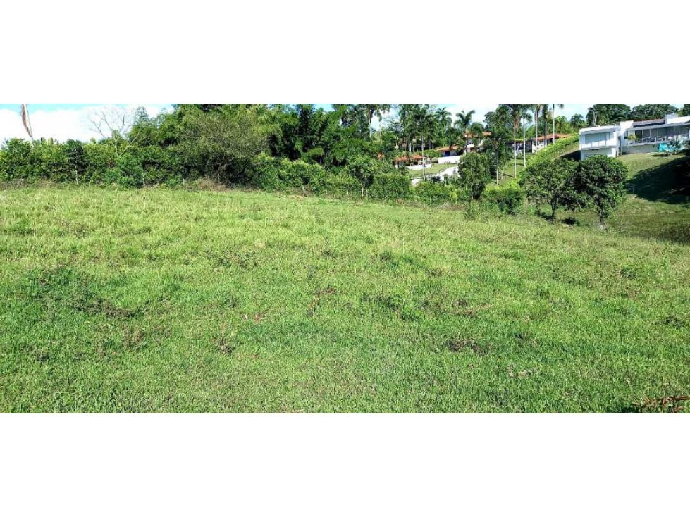 Venta lote Campestre Cerritos Pereira - 4