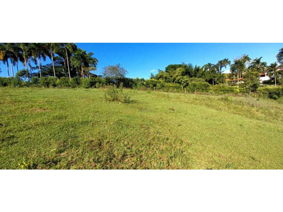 Venta lote Campestre Cerritos Pereira - 6