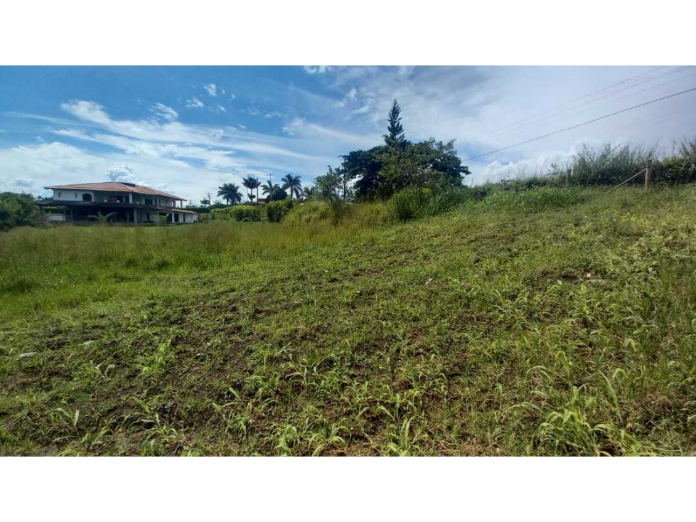 Venta Lote Campestre Cerritos Pereira — foto 4